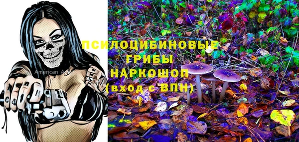 мдпв Абинск